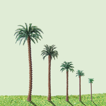 model trees